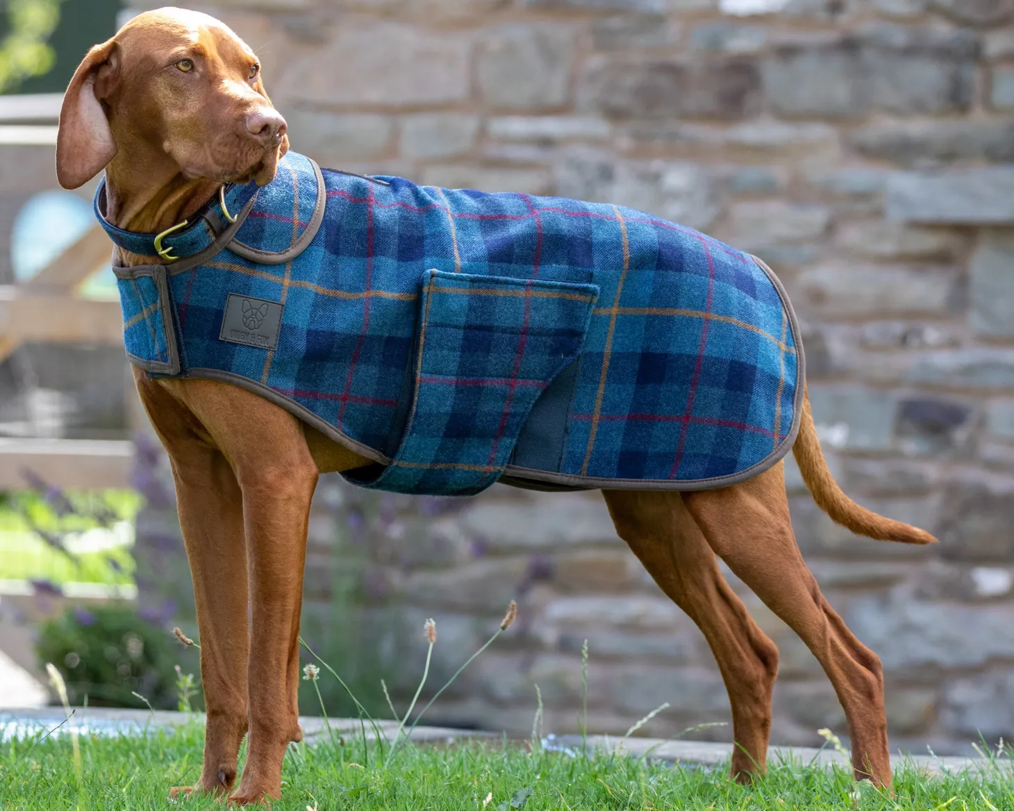 Shires Digby & Fox Tweed Dog Coat