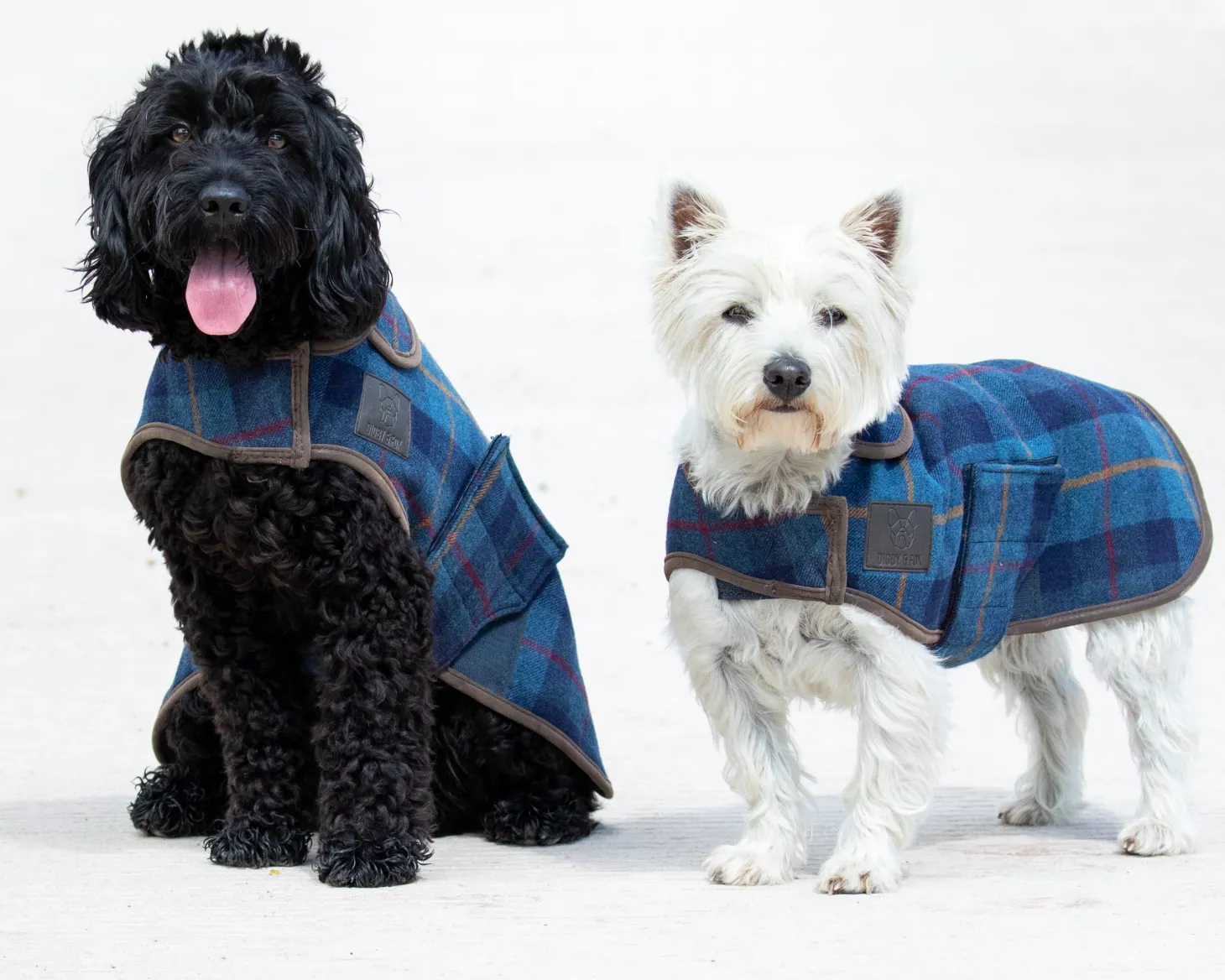 Shires Digby & Fox Tweed Dog Coat