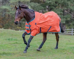 Shires Highlander Lite Turnout Sheet