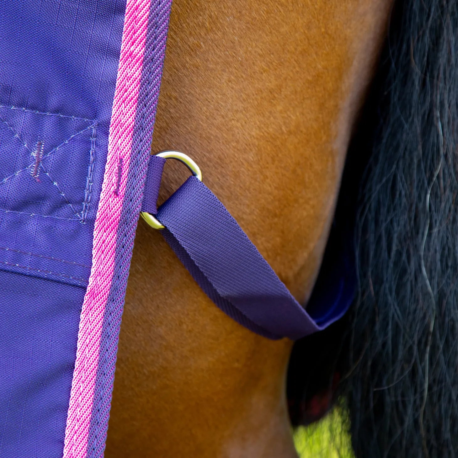 Shires Tempest Original Lite Turnout Sheet