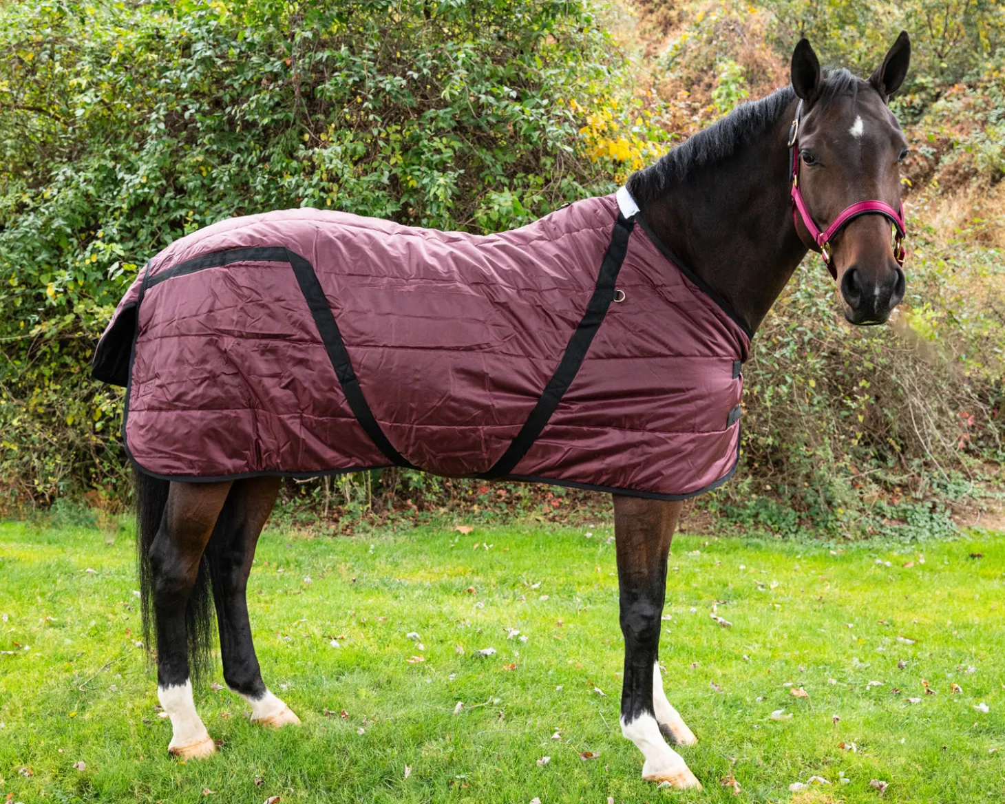 Snuggie Heavyweight Stable Blanket, Large