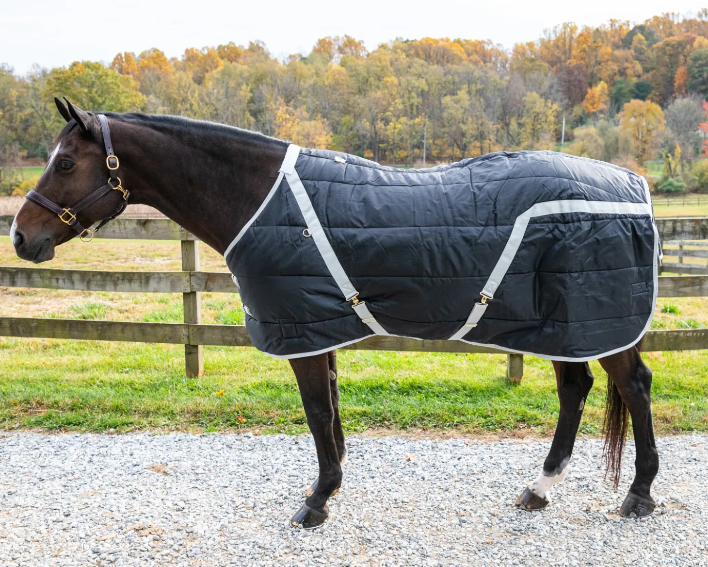 Snuggie Heavyweight Stable Blanket, Large