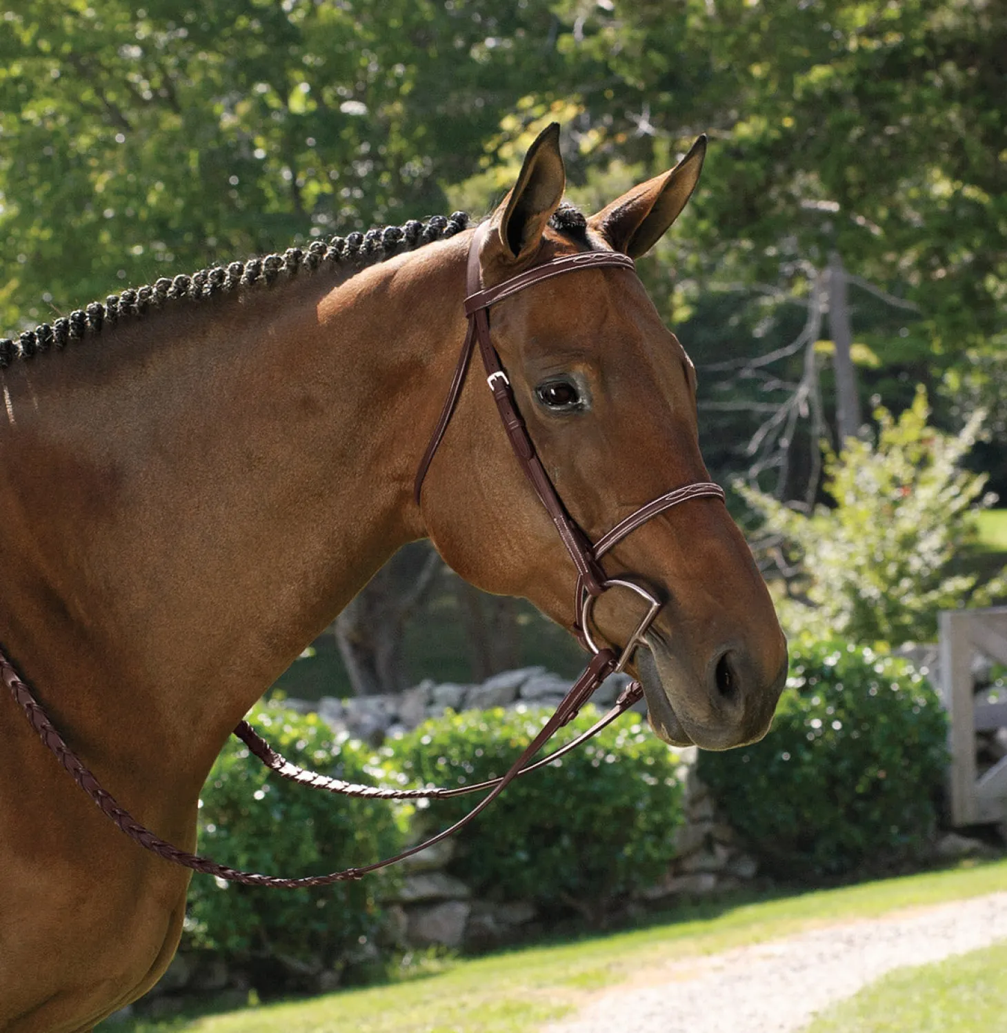 Suffolk™ Classic Hunter Bridle
