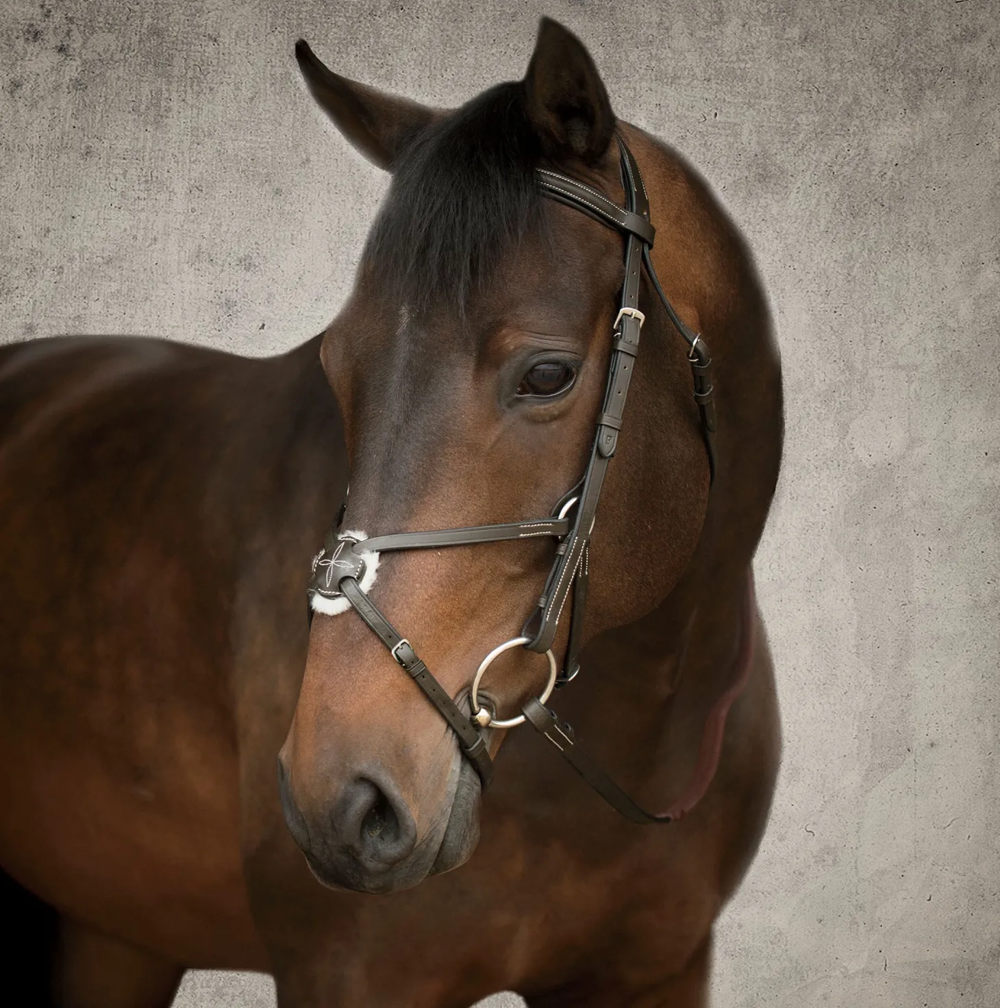 Suffolk™ Figure-8 Bridle