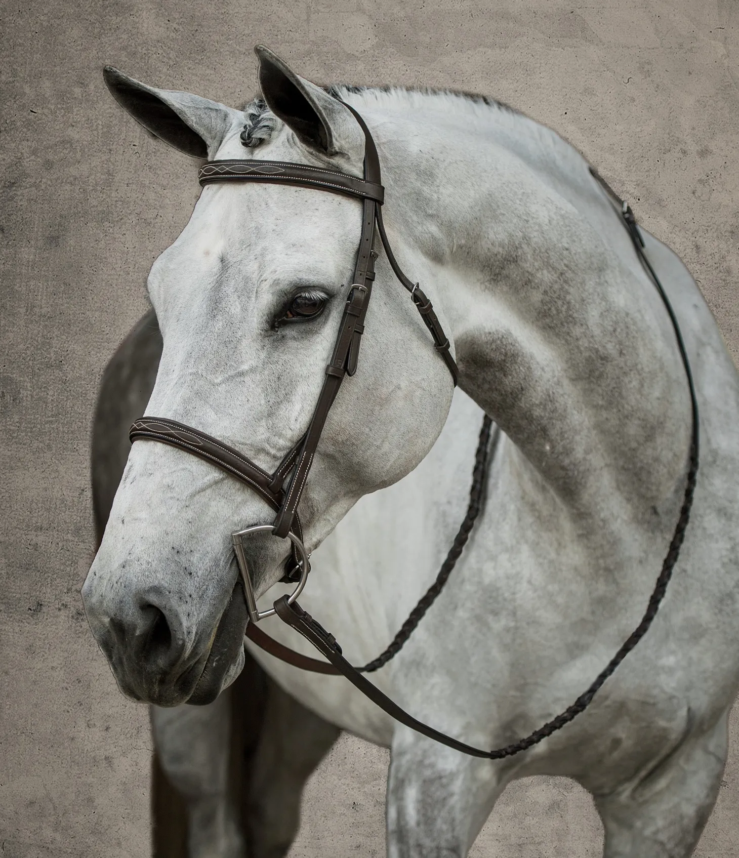 Suffolk™ Hunter Fancy-Stitched Bridle