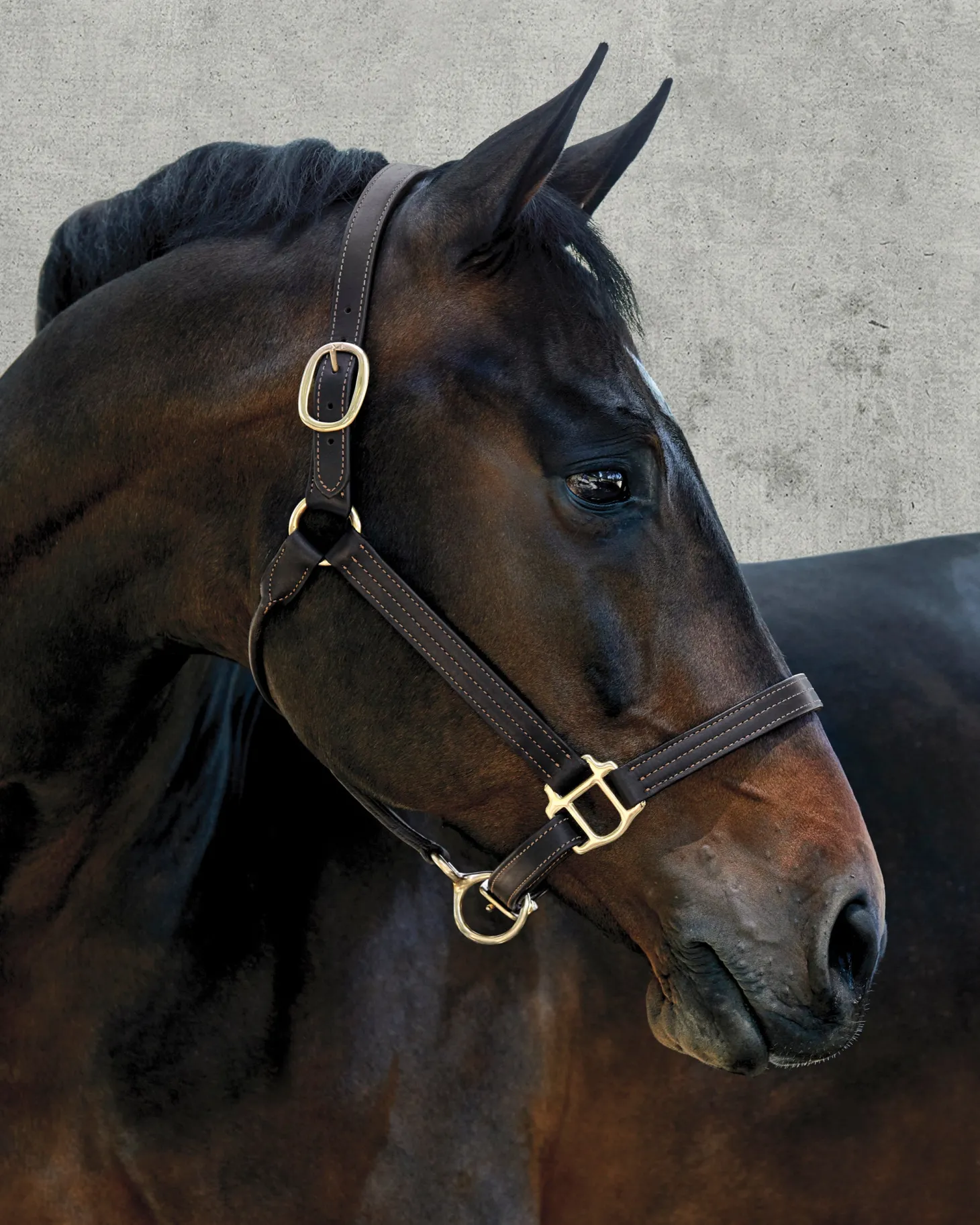Suffolk™ Palermo Triple-Stitched Halter