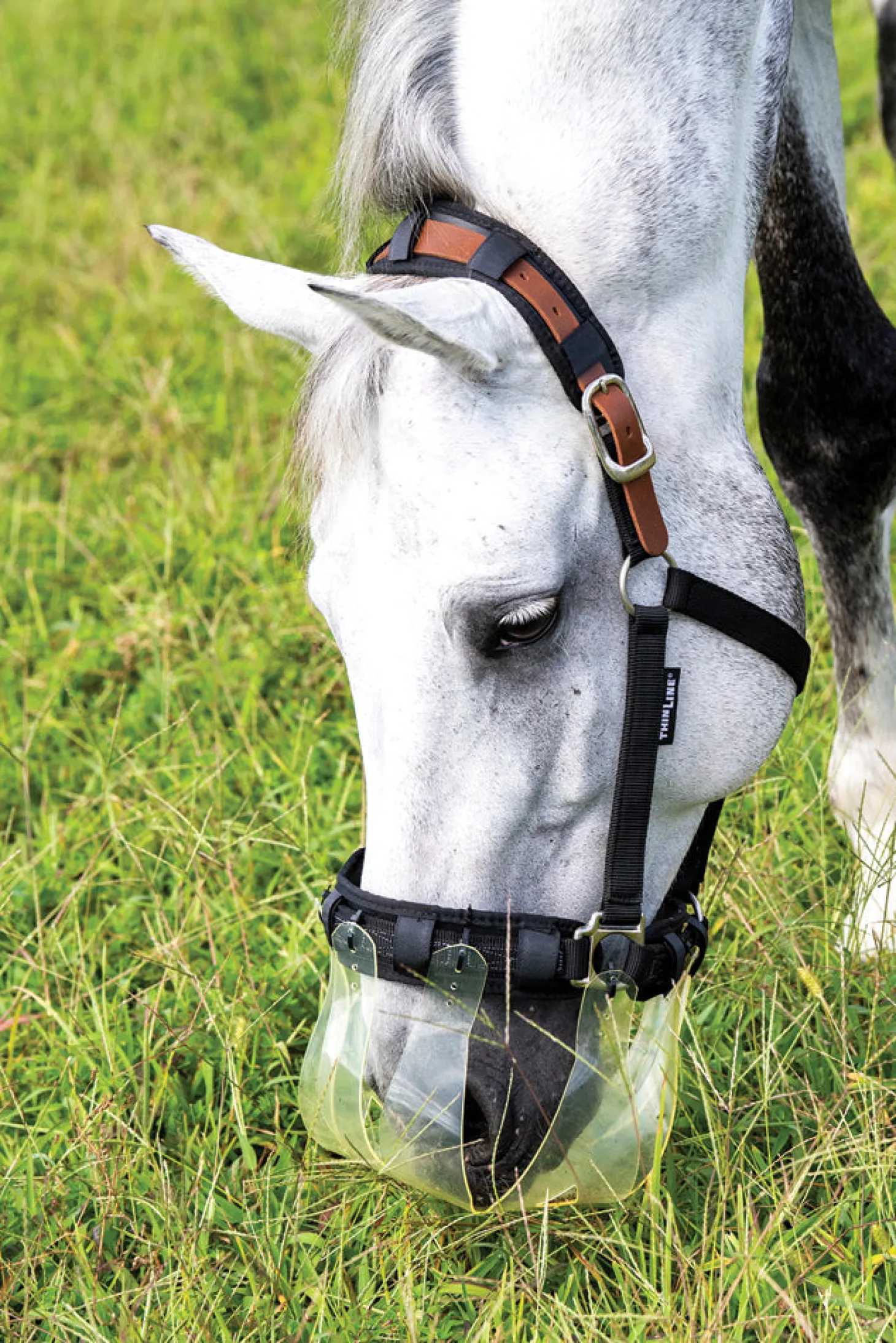 ThinLine® Flexible Filly Slow Feed Grazing Muzzle 2.5+cm