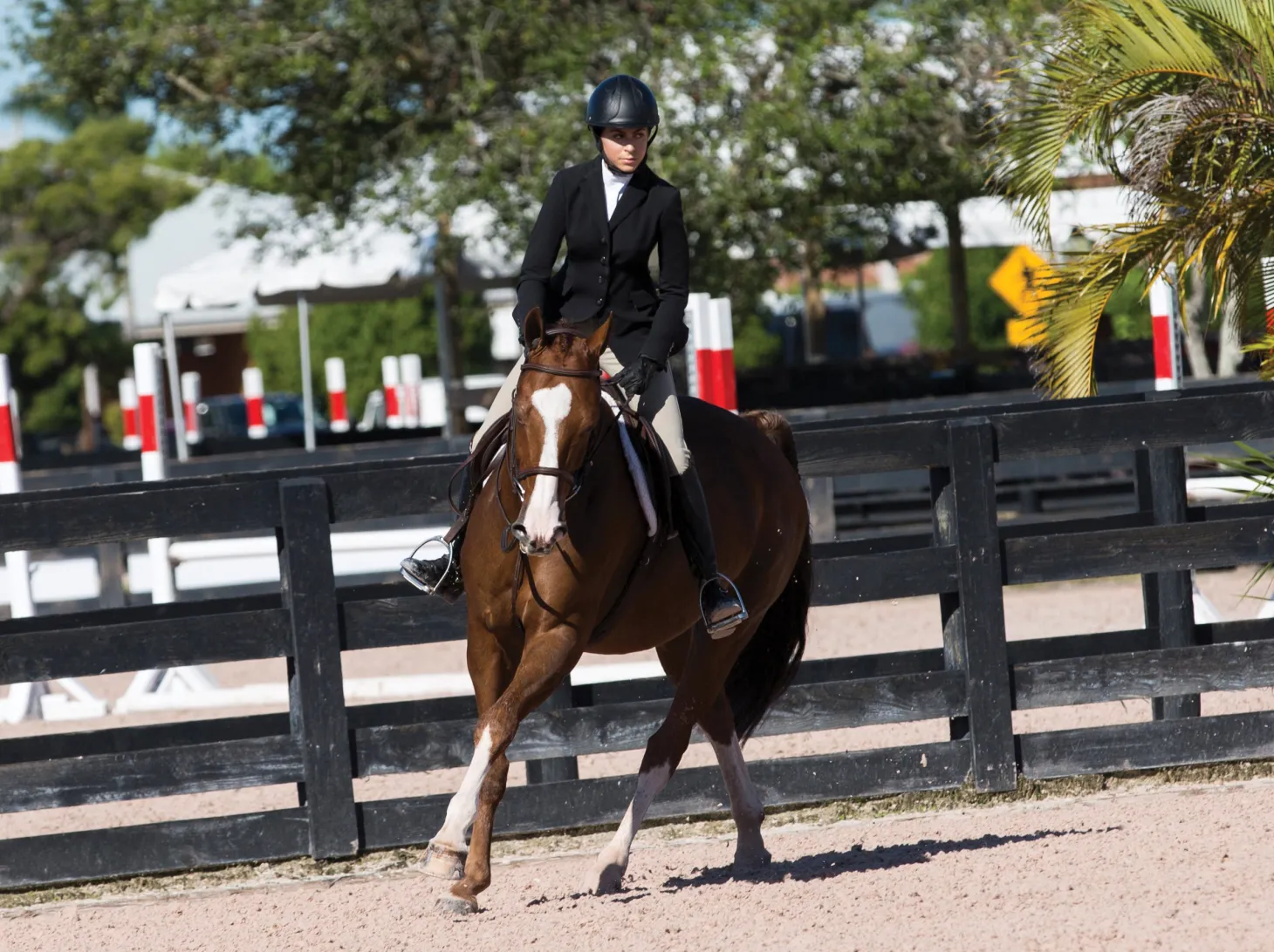 Tredstep™ Solo Showtime Show Coat