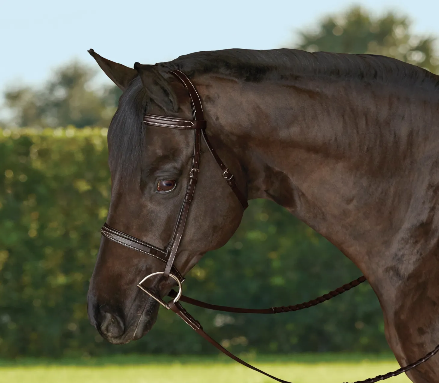 TRU-Fit™ Build-A-Bridle™ Fancy-Stitched Hunter Noseband