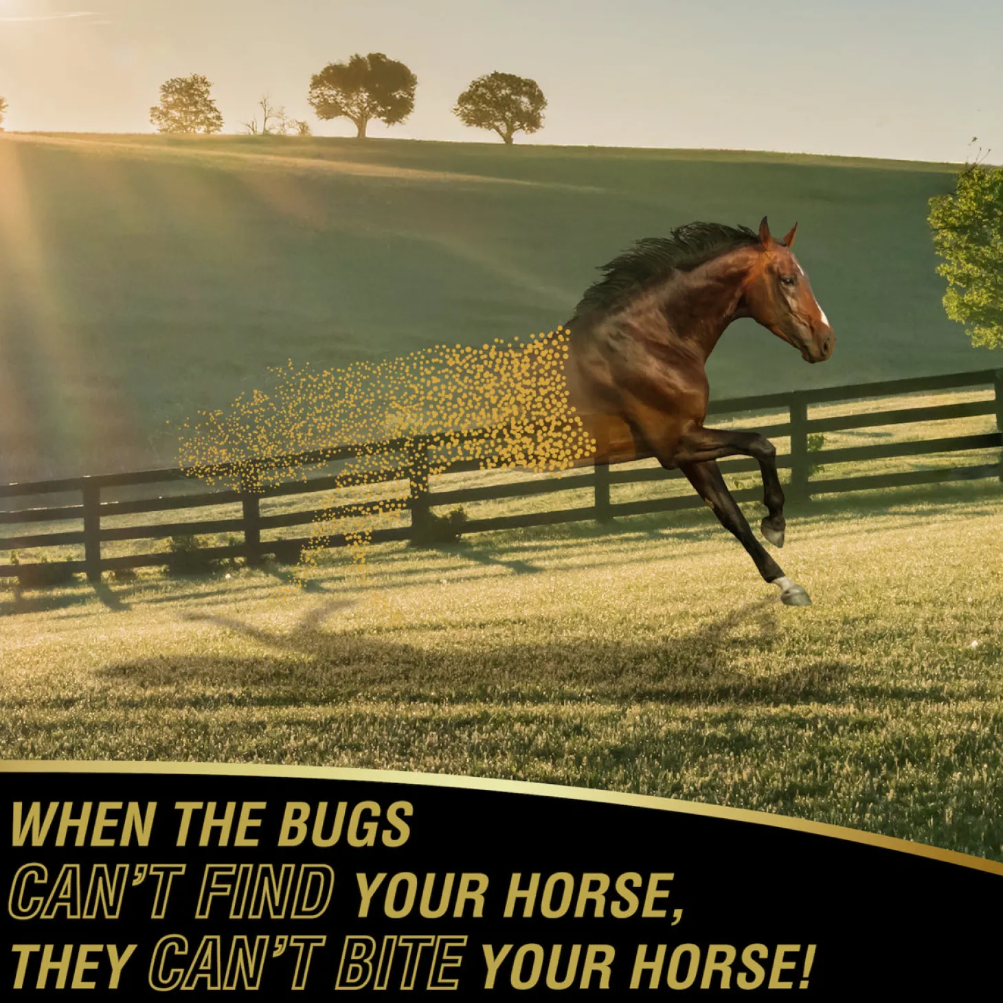 Ultrashield® Gold