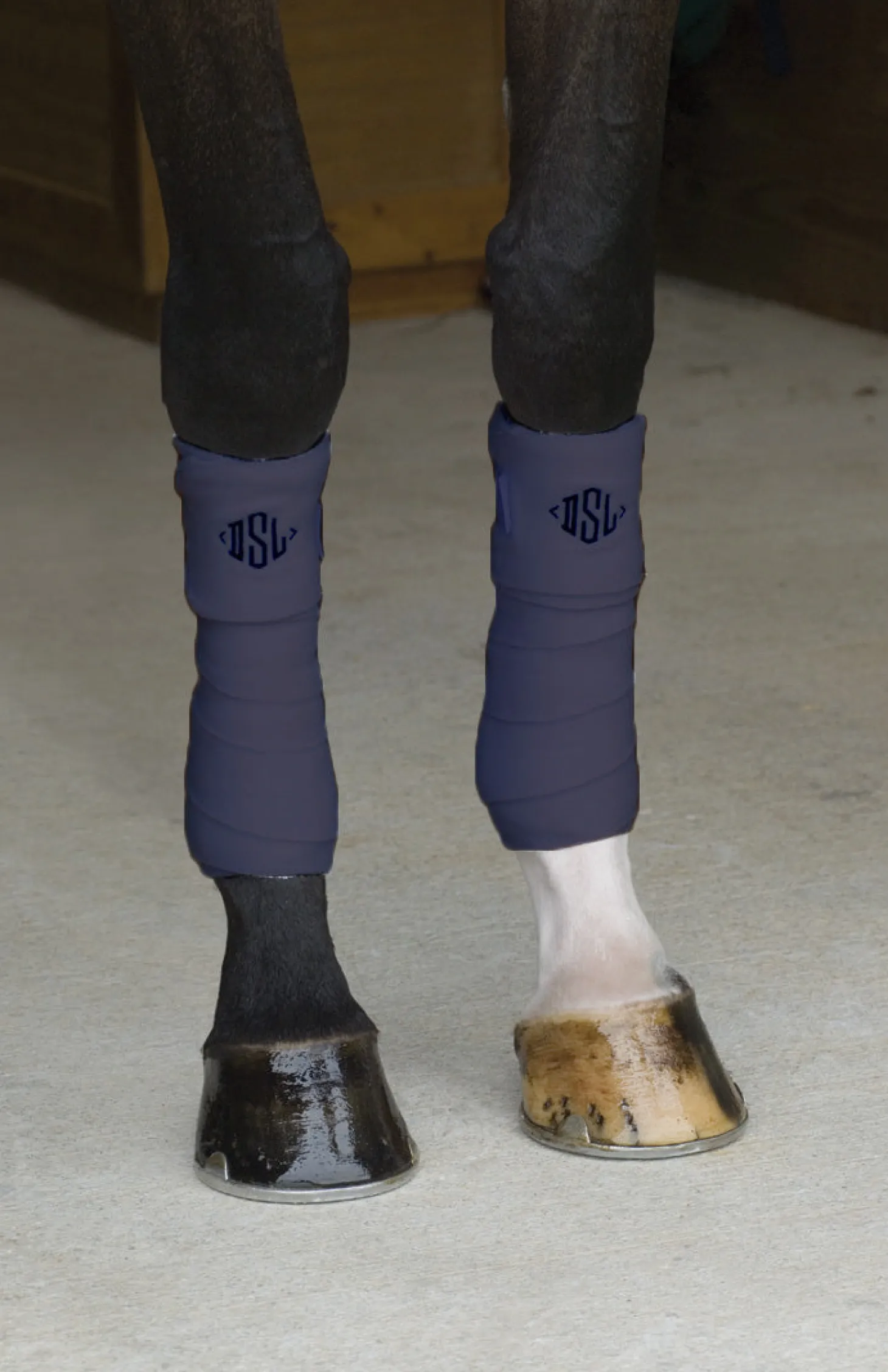 Vac’s Pony Polo Bandages