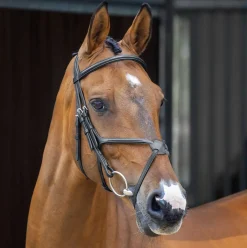 Velociti Lusso Grackle Bridle