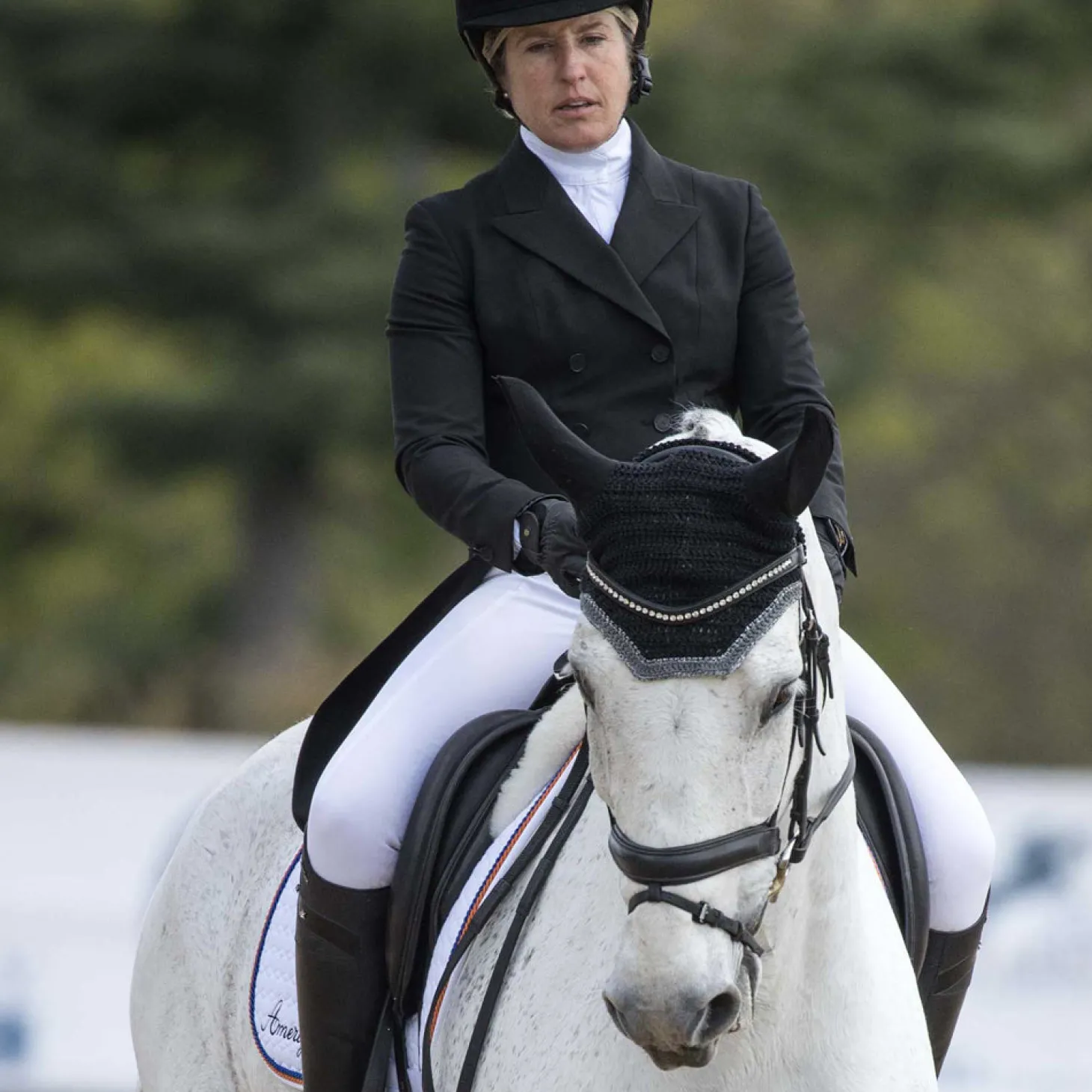 Vespucci Dressage Double Raised Weymouth Bridle