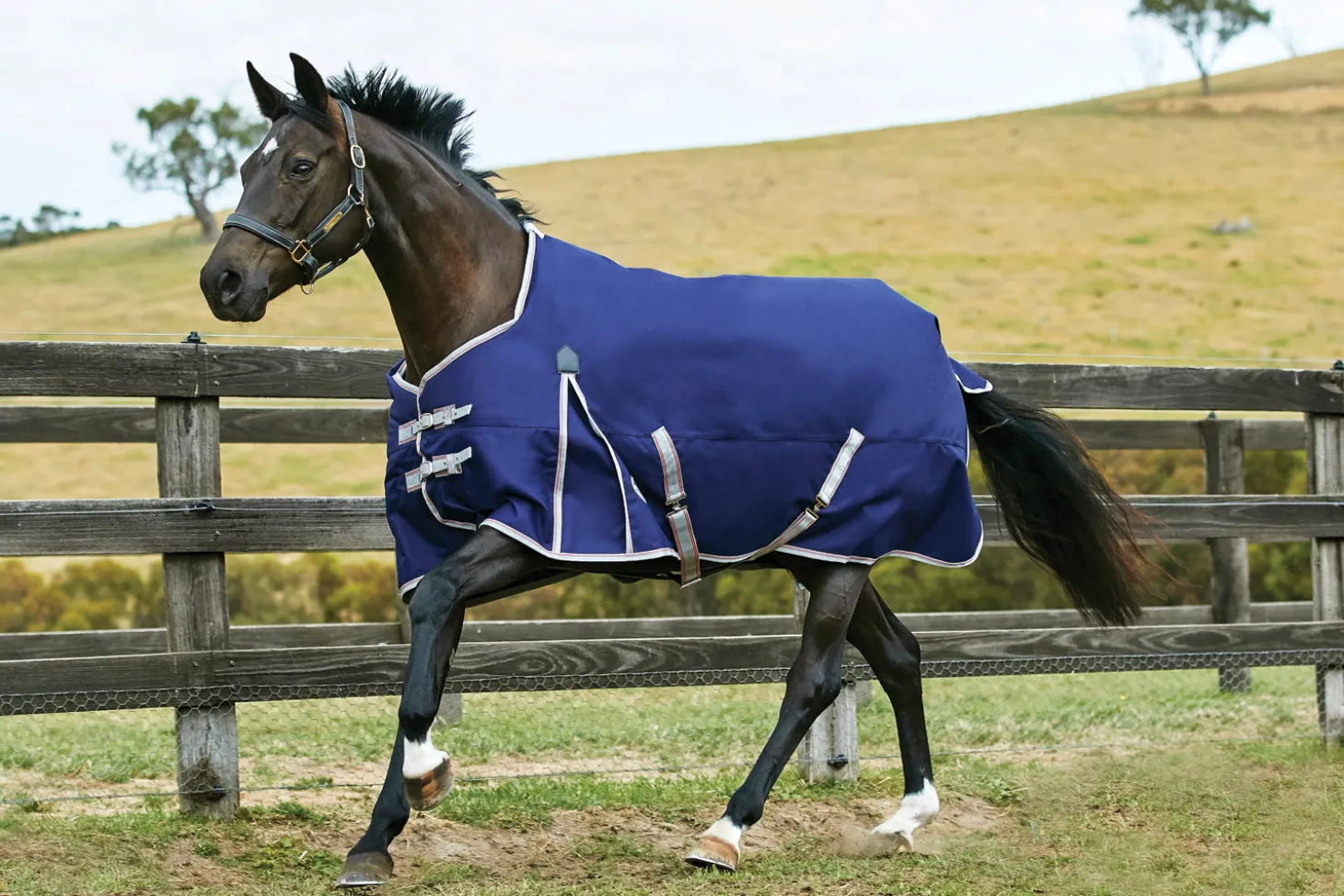 WeatherBeeta® ComFiTec™ Essential Solid Medium Weight Turnout Blanket