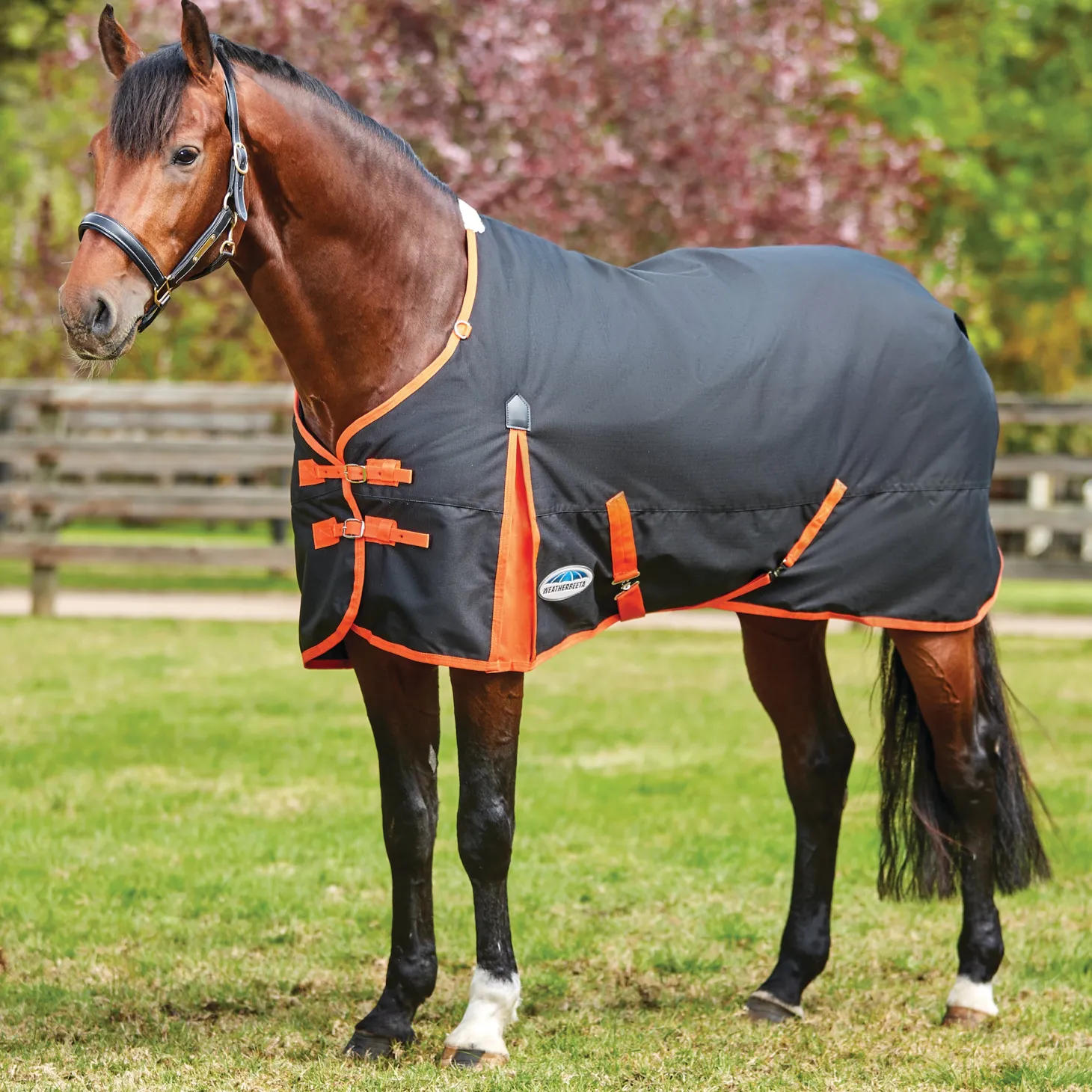 WeatherBeeta® ComFiTec™ Essential Solid Medium Weight Turnout Blanket