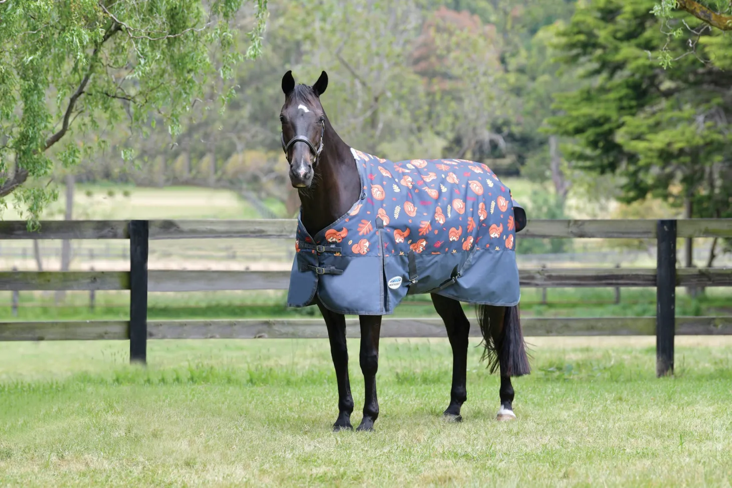 WeatherBeeta® ComFiTec™ Essential Standard Neck Medium-Weight Turnout Blanket