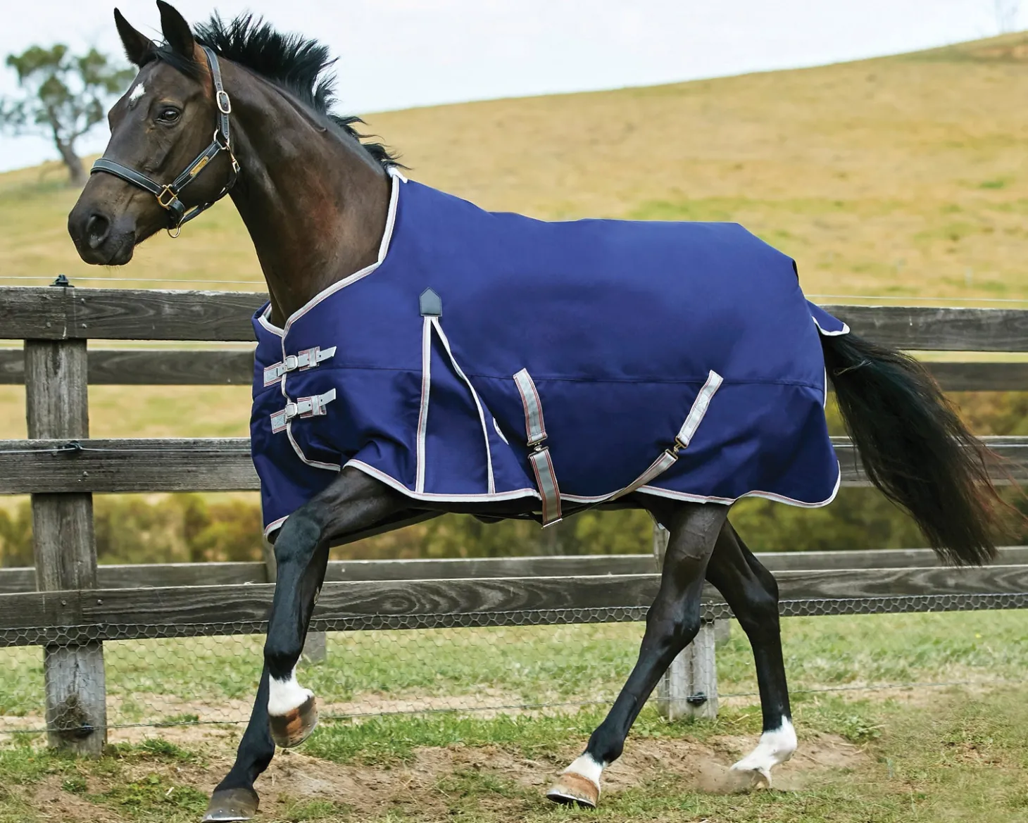 WeatherBeeta® ComFiTec™ Essential Standard Neck Heavyweight Turnout
