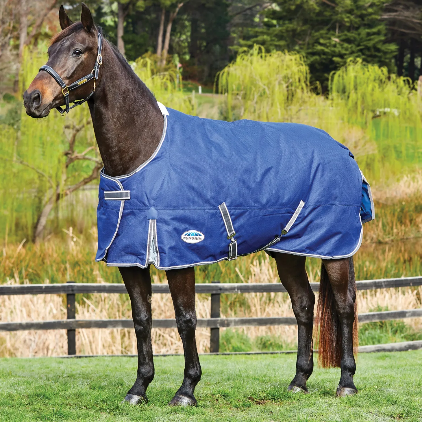 WeatherBeeta® ComFiTec™ Free Standard Neck Medium Weight Turnout Blanket