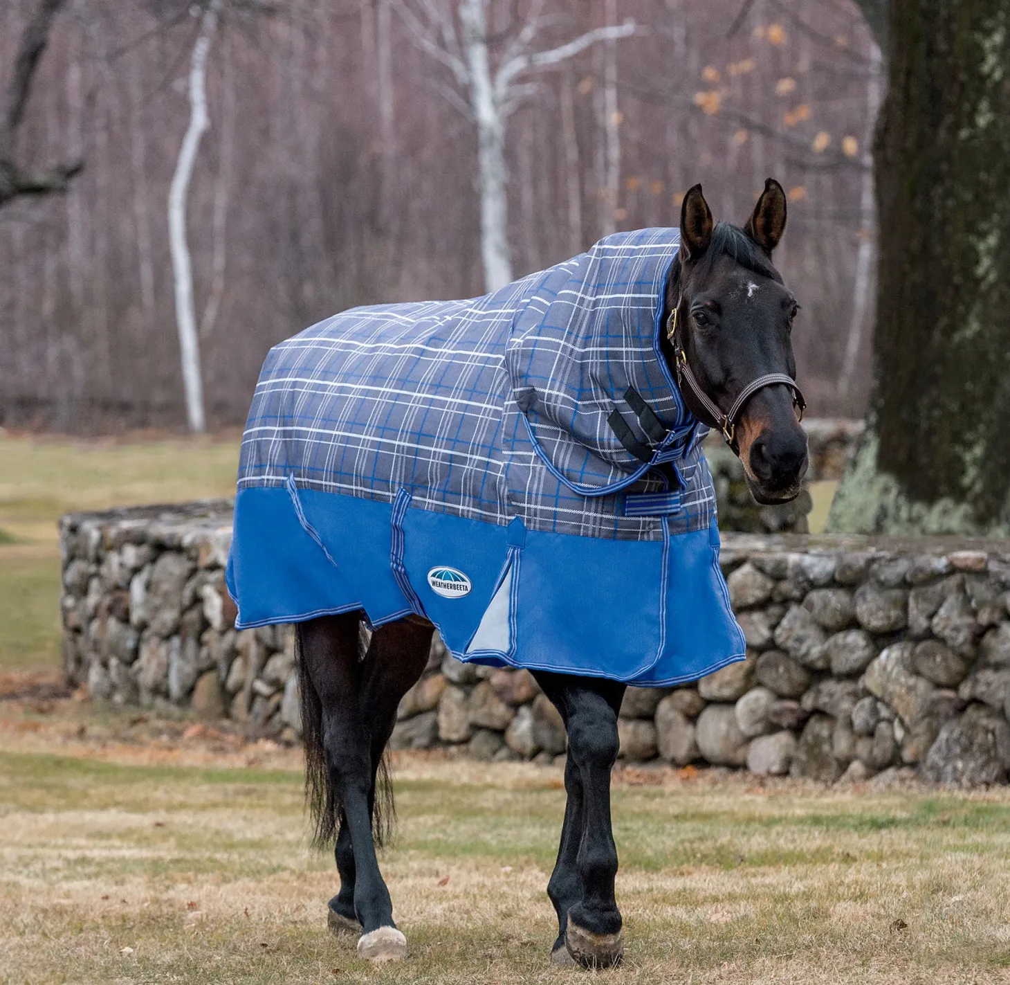 WeatherBeeta® ComFiTec™ Free Standard Neck Medium Weight Turnout Blanket