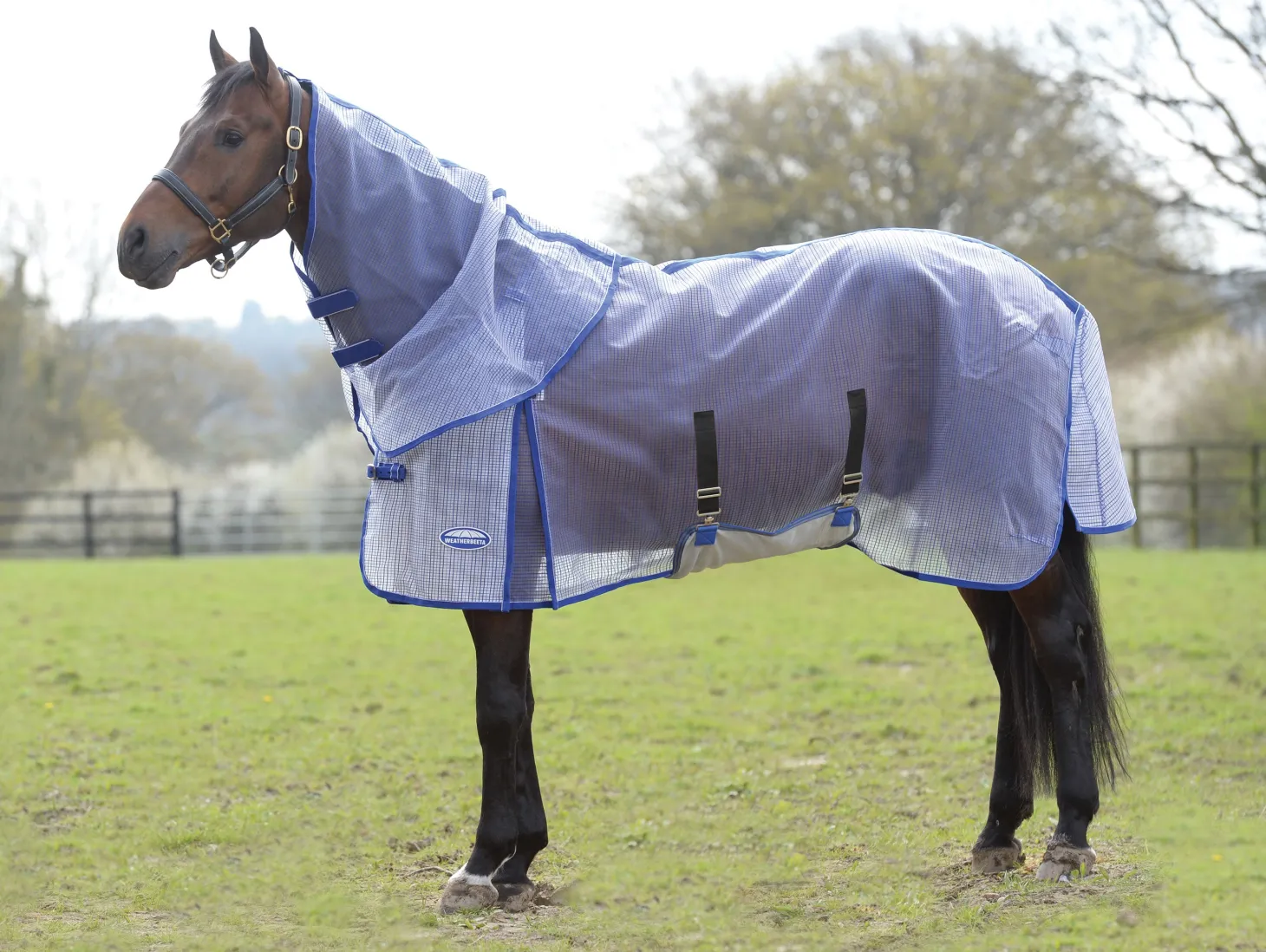 WeatherBeeta® ComFiTec™ Ripshield Detach-A-Neck Fly Sheet