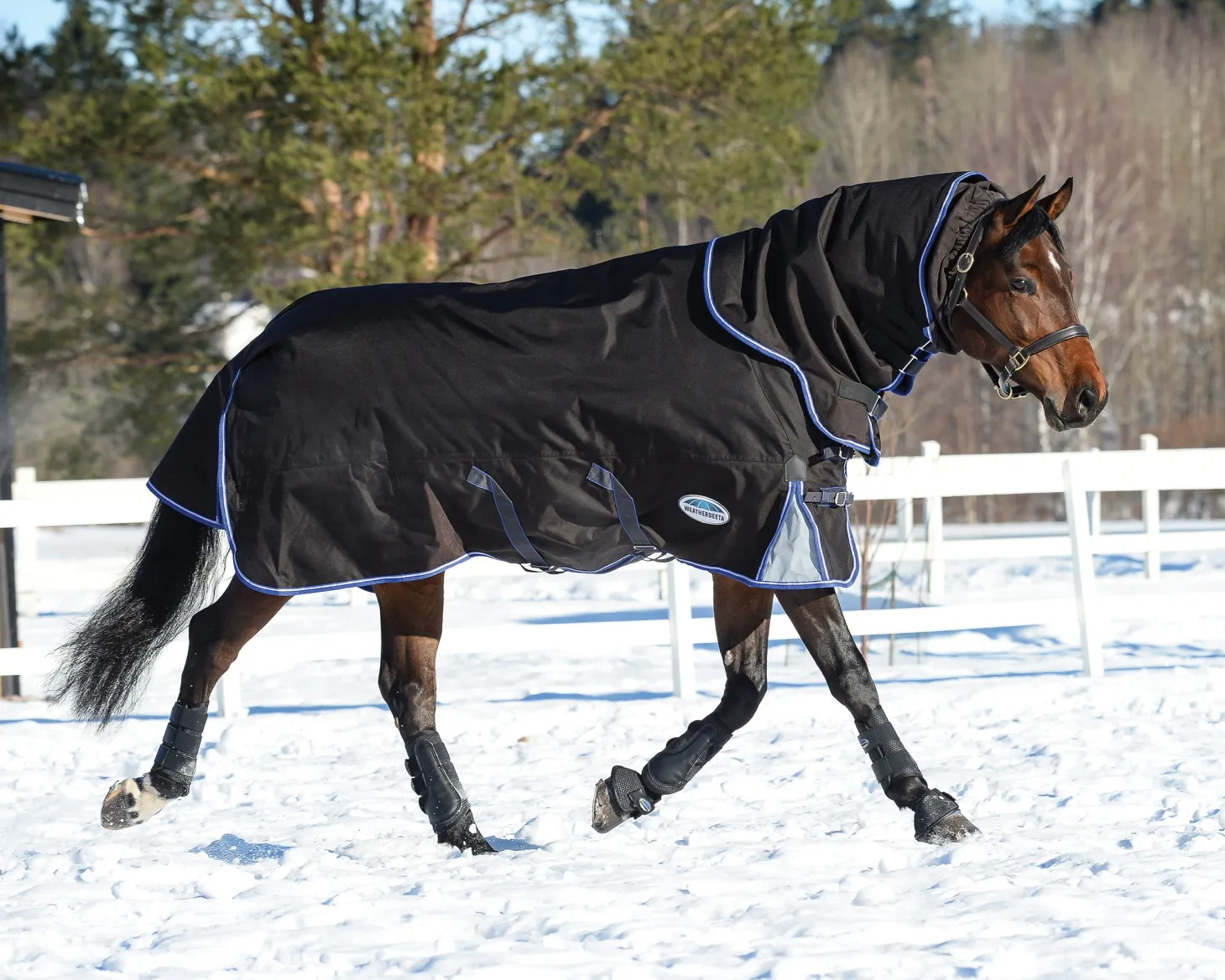 WeatherBeeta® ComFiTec™ Ultra Cozi II Detach-A-Neck Medium-Weight Turnout Blanket