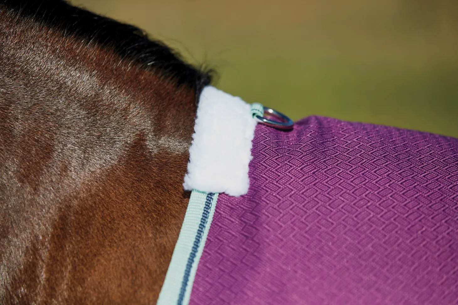 WeatherBeeta® Pony ComFiTec™ Premier Free II Standard Neck Lite Turnout